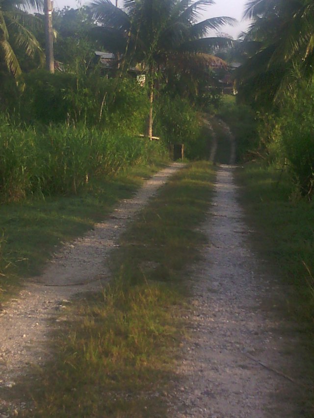 Commercial/farm land For Sale in Bog Walk, St. Catherine Jamaica
