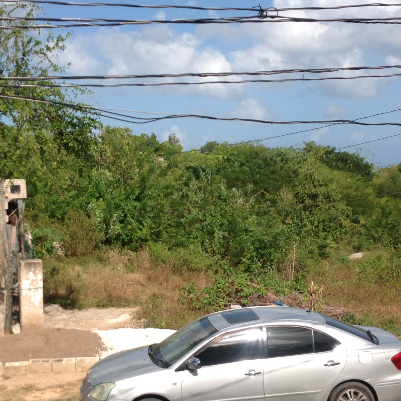 Residential lot For Sale in Whitehall, Westmoreland Jamaica