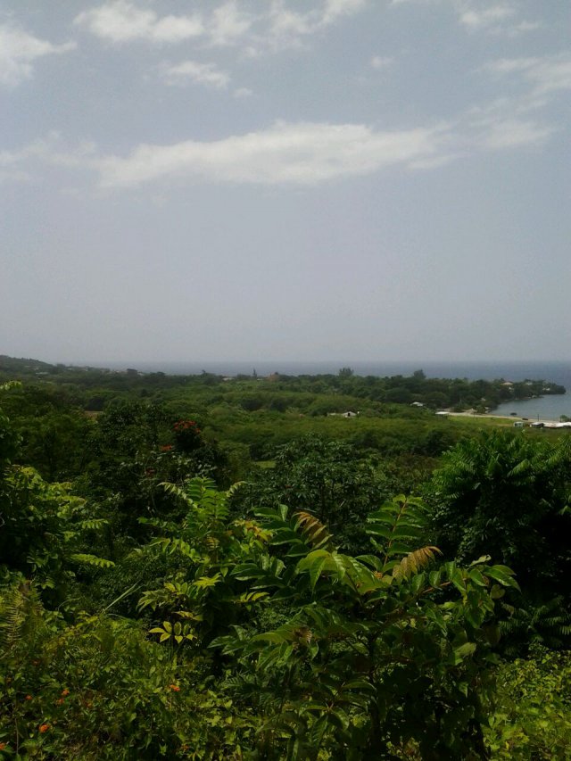 Residential lot For Sale in Lucea, Hanover Jamaica