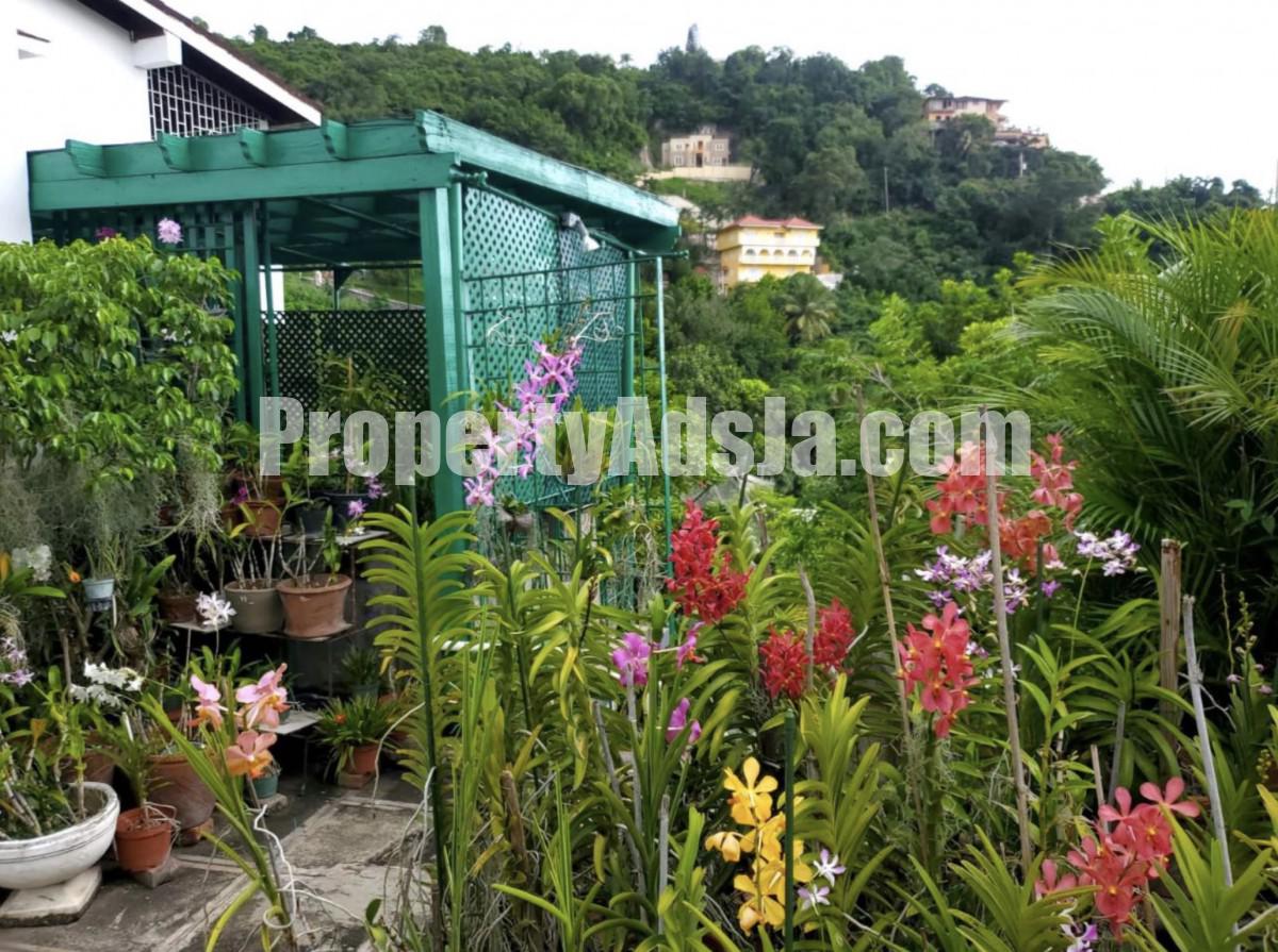 Flat For Rent in Belgrade Loop, Kingston / St. Andrew Jamaica ...