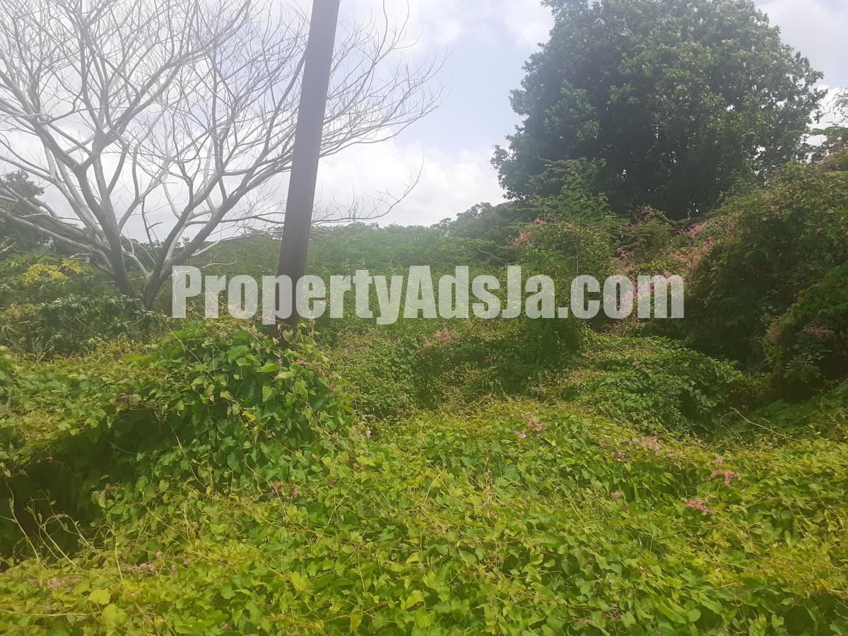 Residential lot For Sale in Milk River, Clarendon Jamaica