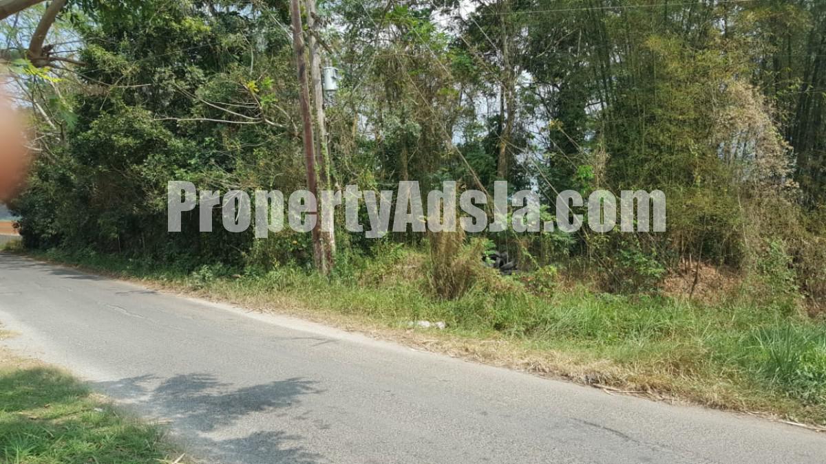 Commercial/farm land For Sale in Linstead, St. Catherine Jamaica