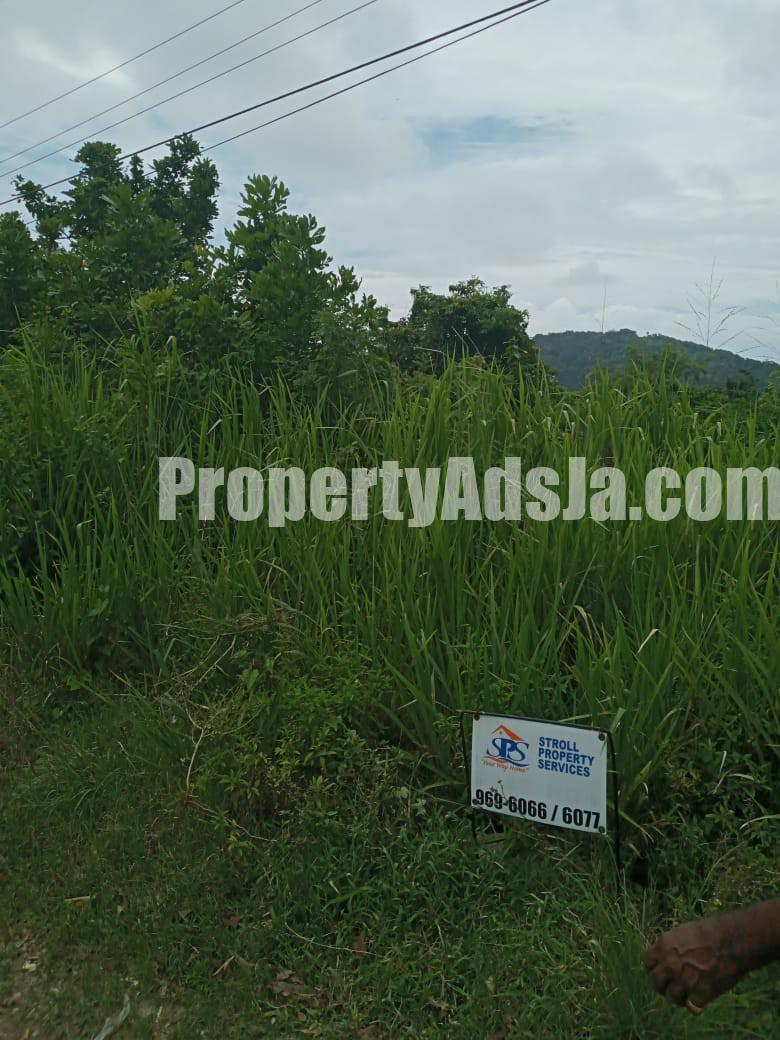 Commercial/farm land For Sale in Islington, St. Mary Jamaica
