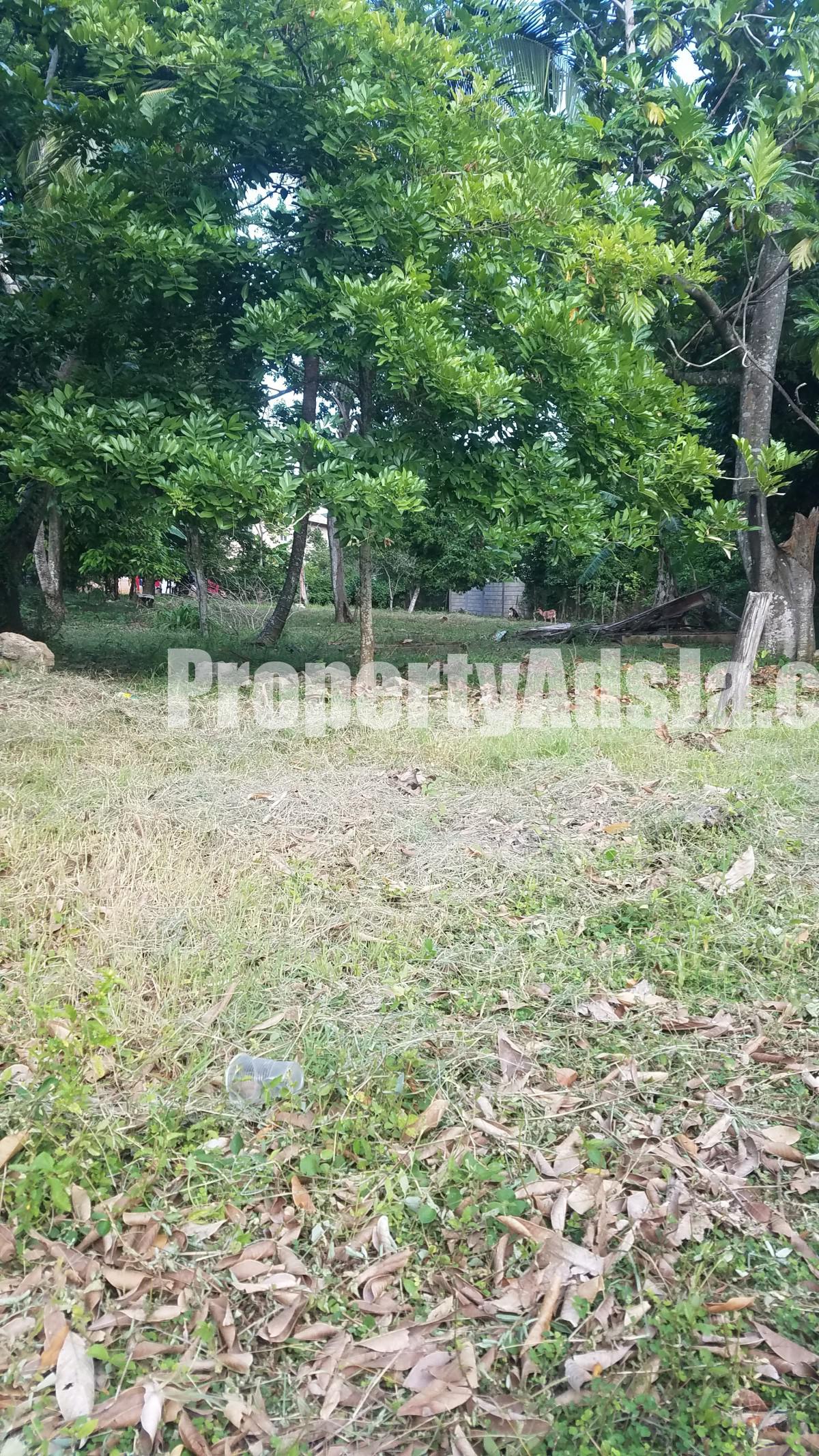 House For Sale in Great Pond, St. Ann Jamaica