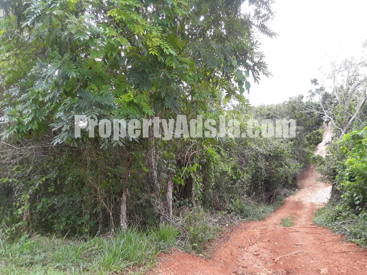 Residential lot For Sale in Cross Keys Manchester, Manchester Jamaica