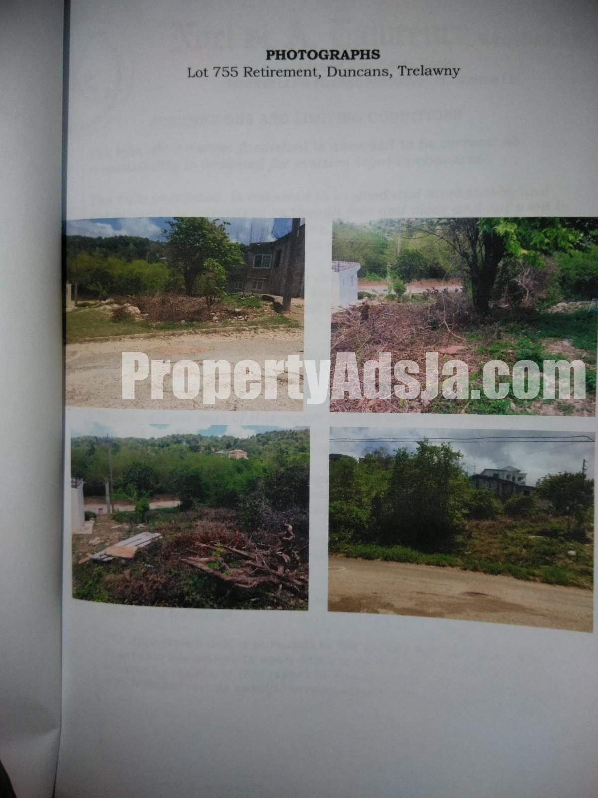 Land For Sale in Duncans Hill, Trelawny Jamaica