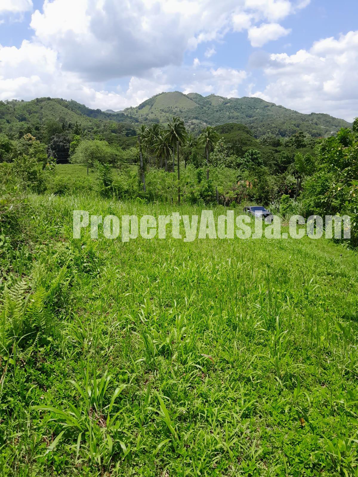 Land For Sale in Seaford Town, Westmoreland Jamaica