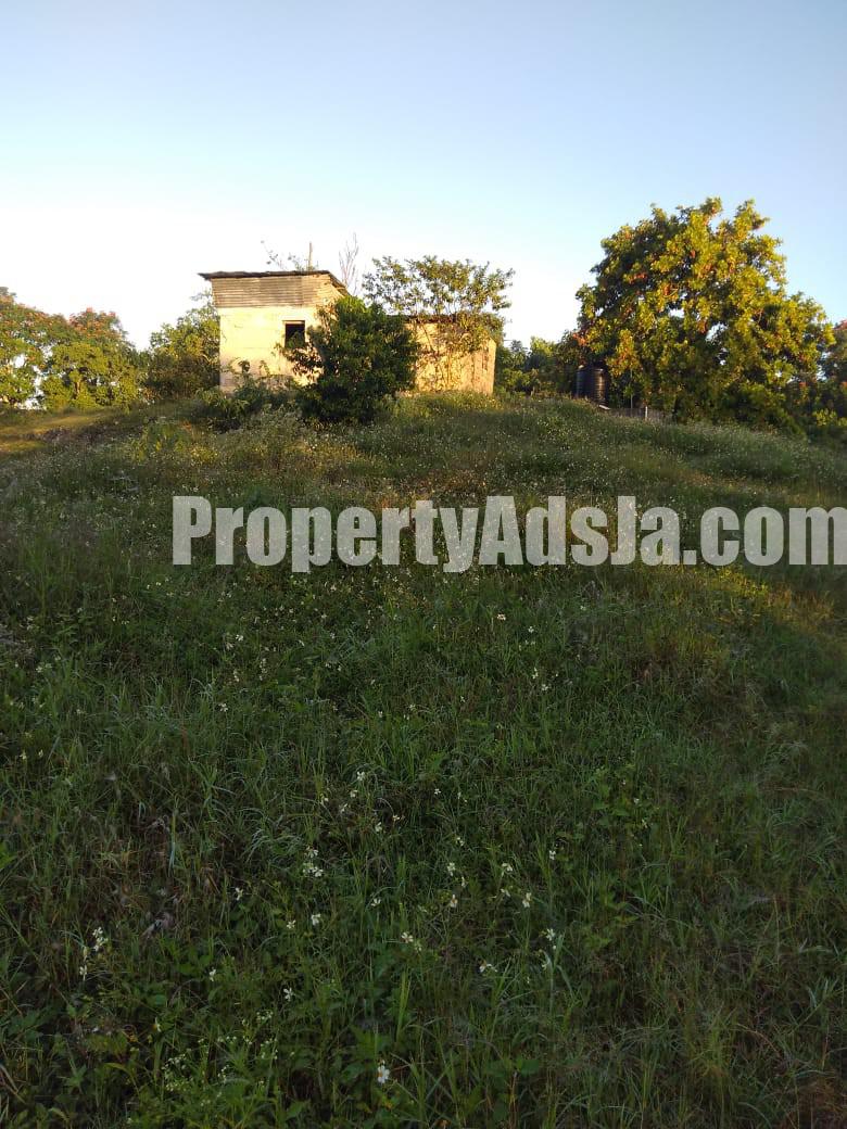Commercial/farm land For Rent in Lydford St Ann, St. Ann Jamaica