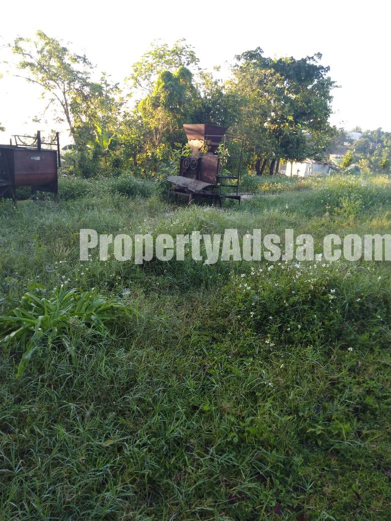 Commercial/farm land For Rent in Lydford St Ann, St. Ann Jamaica
