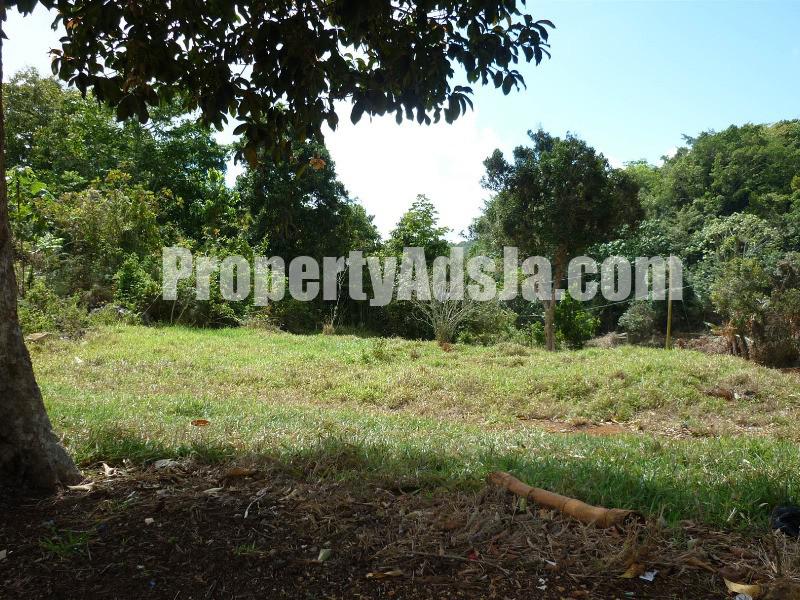 Residential lot For Sale in Contrivance, Manchester Jamaica