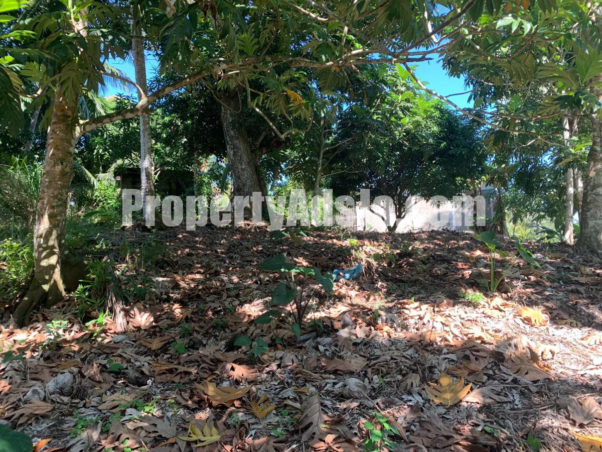 House For Sale in Guys HIll, St. Mary Jamaica