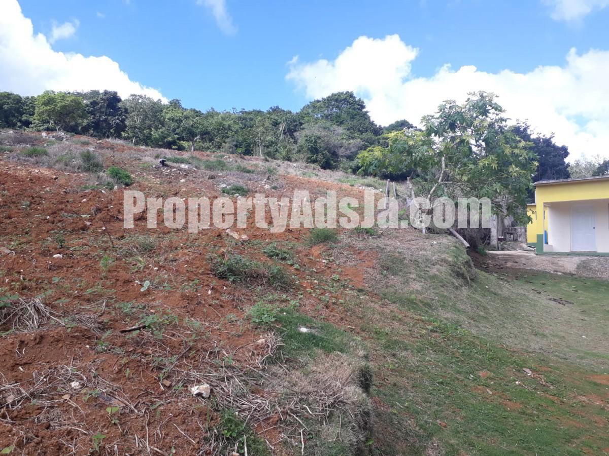 Land For Sale in Christiana, Manchester Jamaica