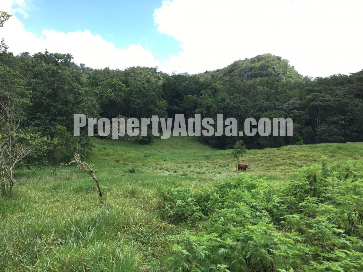 Residential lot For Sale in Chippenham Park Bamboo, St. Ann Jamaica