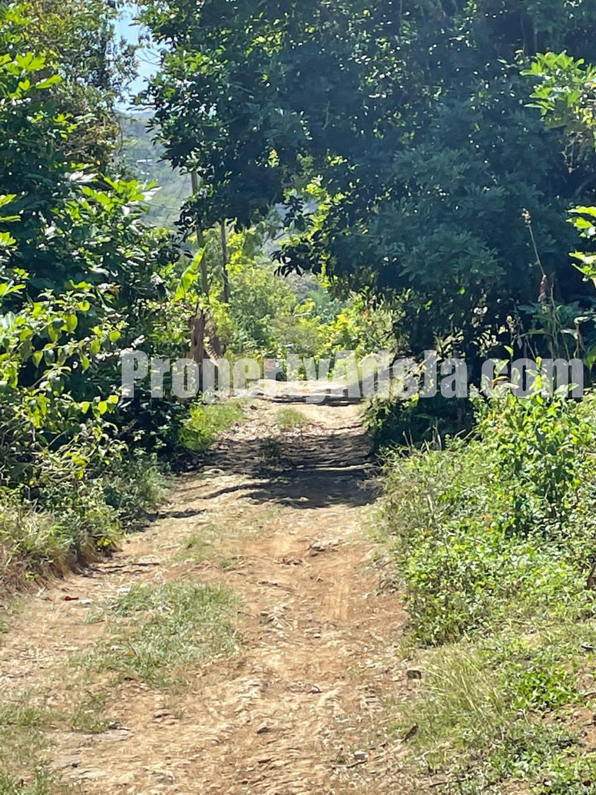 Commercial/farm land For Sale in GREEN ISLAND, Hanover Jamaica