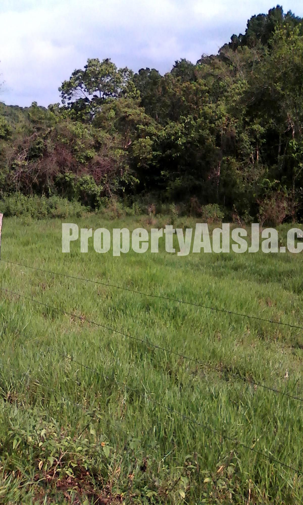 Commercial/farm land For Sale in Browns Town, St. Ann Jamaica