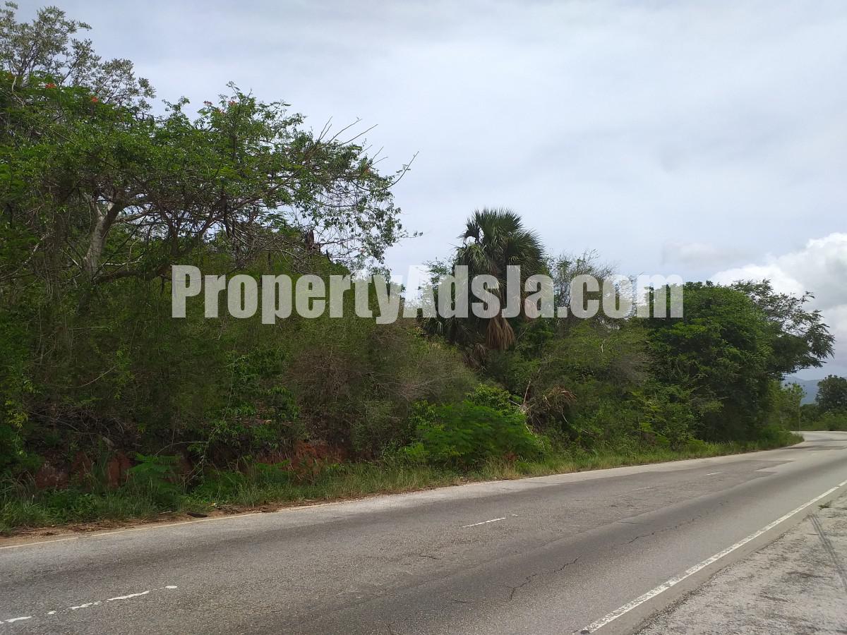 Commercial land For Sale in Spur Tree, Manchester Jamaica