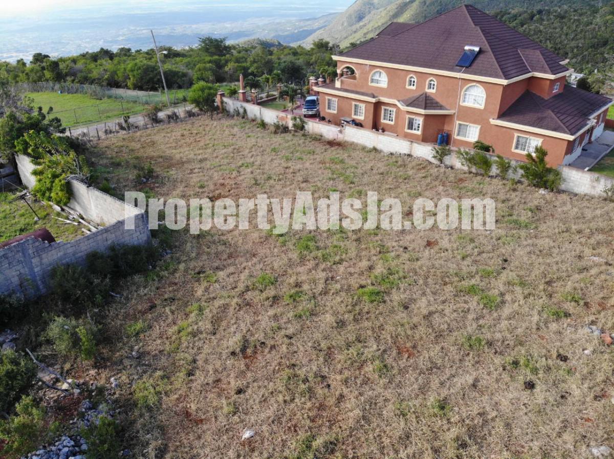 Residential lot For Sale in Spur Tree, Manchester Jamaica