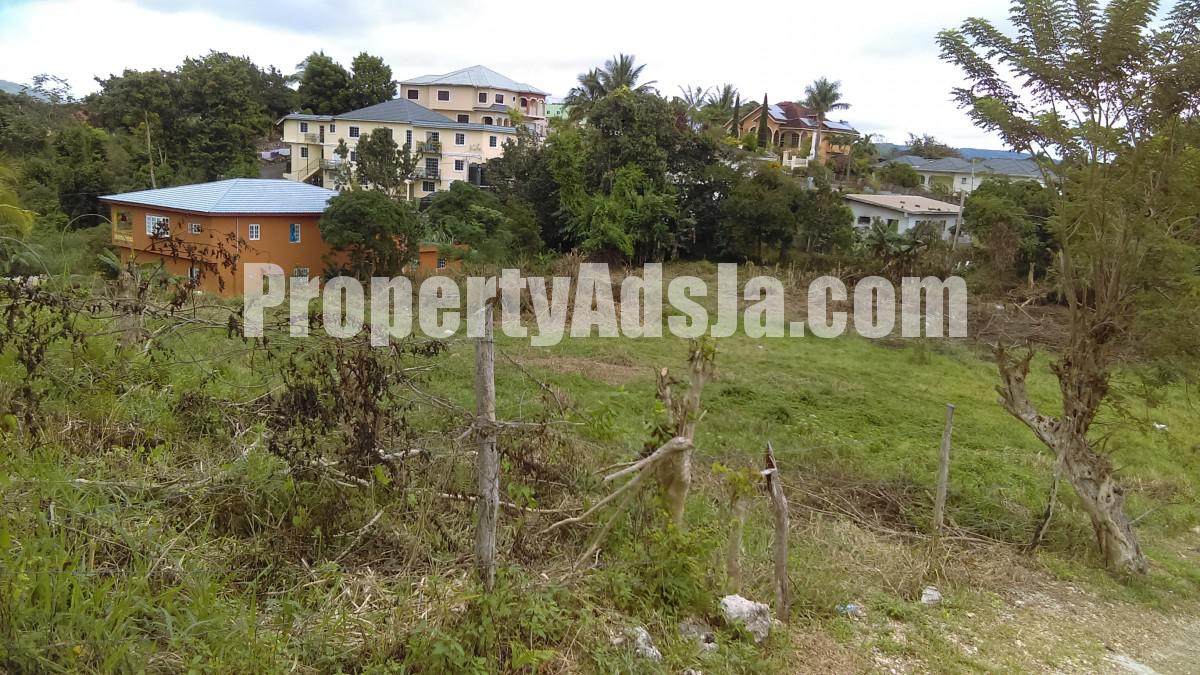 Residential lot For Sale in Mandeville, Manchester Jamaica