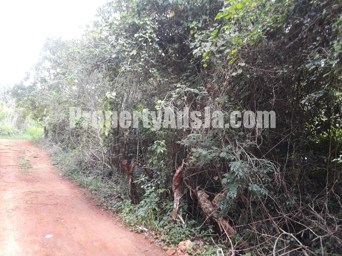 Residential lot For Sale in Cross Keys Manchester, Manchester Jamaica