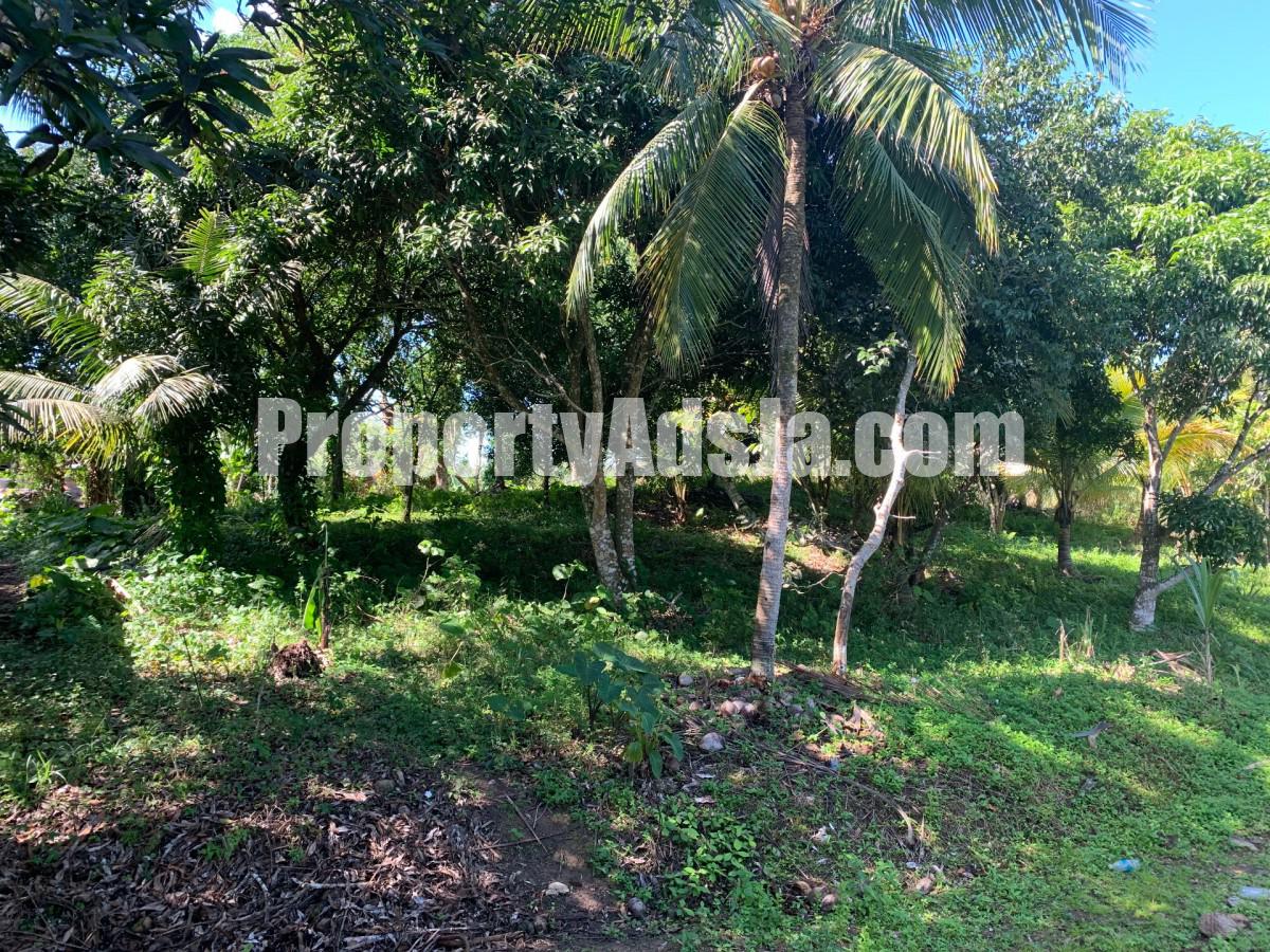 House For Sale in Guys HIll, St. Mary Jamaica