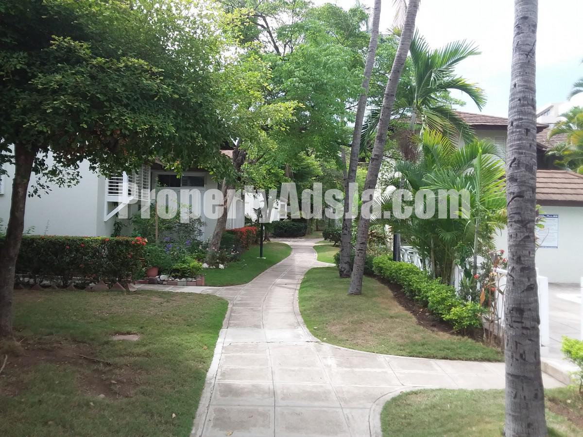 Apartment For Rent in New Kingston, Kingston / St. Andrew Jamaica