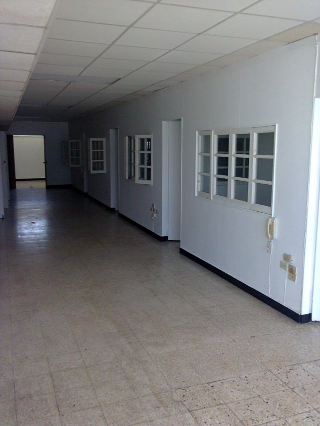 Commercial building For Rent in Knutsford Blvd, Kingston / St. Andrew