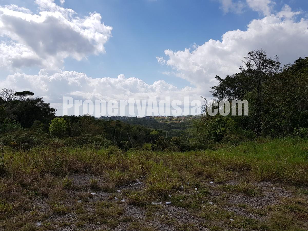 Residential lot For Sale in Kingsland, Manchester Jamaica