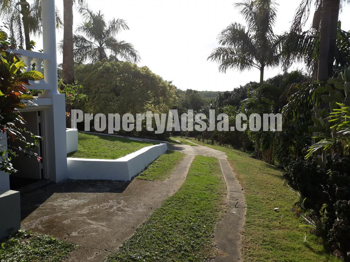 For Sale in Green Island, Hanover Jamaica