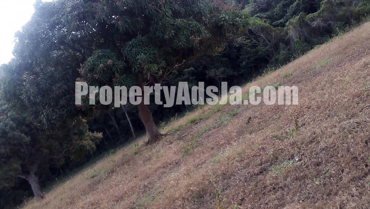 Residential lot For Sale in Malvern, St. Elizabeth Jamaica