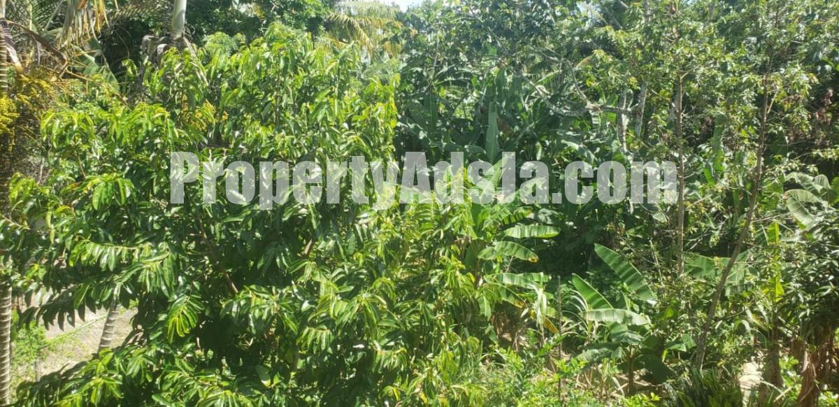 House For Sale in Guys Hill, St. Catherine Jamaica