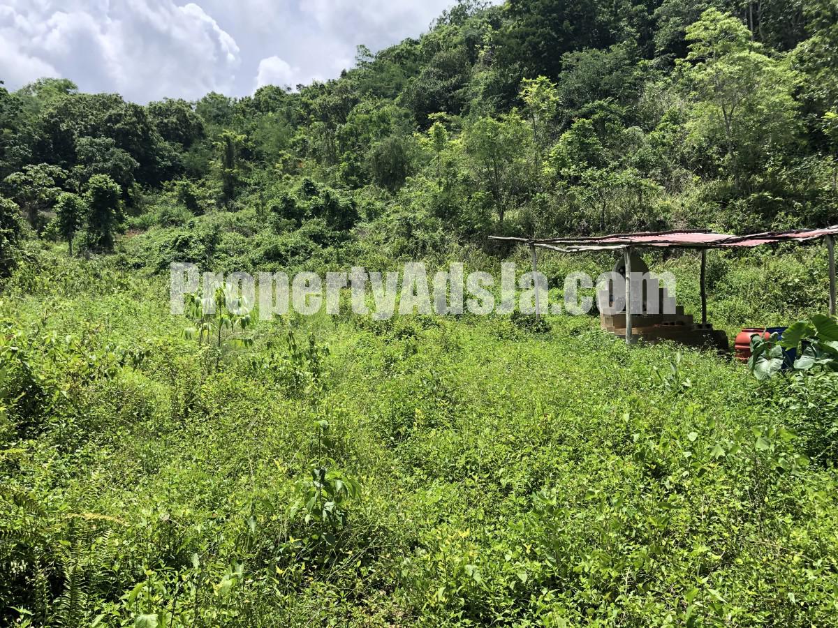 Commercial/farm land For Sale in Dover Castle Redwood St Catherine, St. Catherine Jamaica