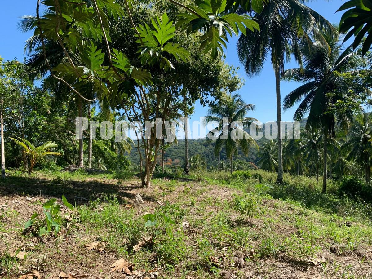 House For Sale in Guys HIll, St. Mary Jamaica