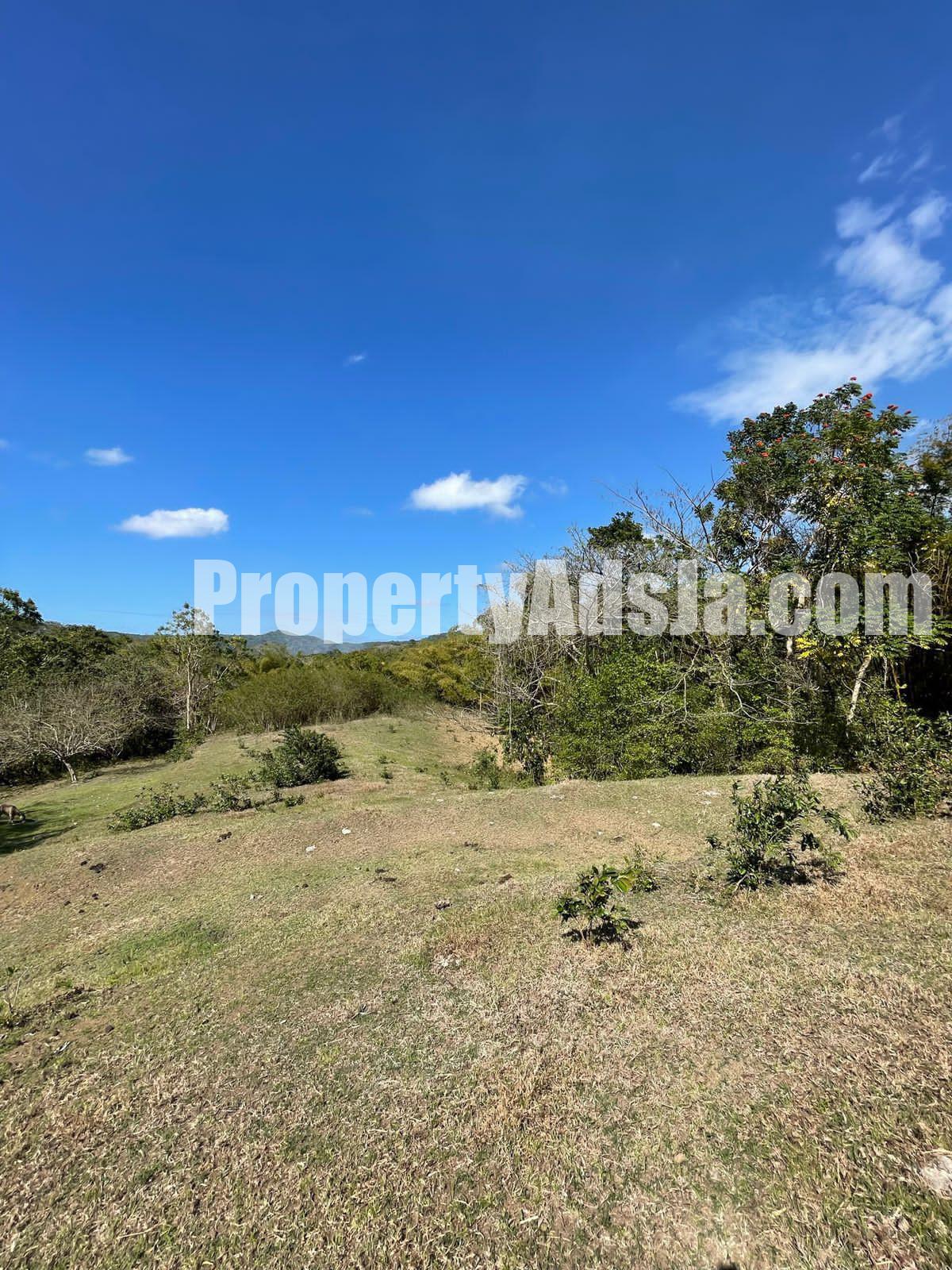 Commercial/farm land For Sale in GREEN ISLAND, Hanover Jamaica