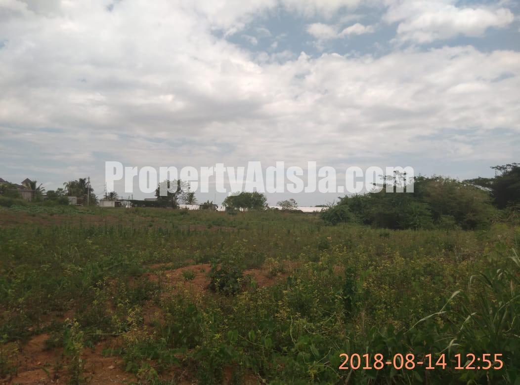 Commercial/farm land For Sale in May Pen, Clarendon Jamaica
