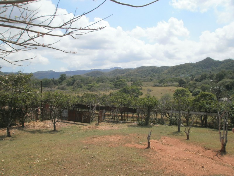 Commercial/farm land For Sale in Wakefield Linstead St Catherine, St