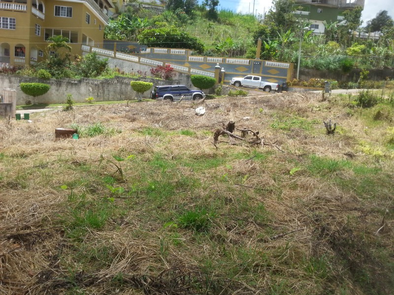 Residential lot For Sale in Glencoe Meadows Spaldings, Manchester