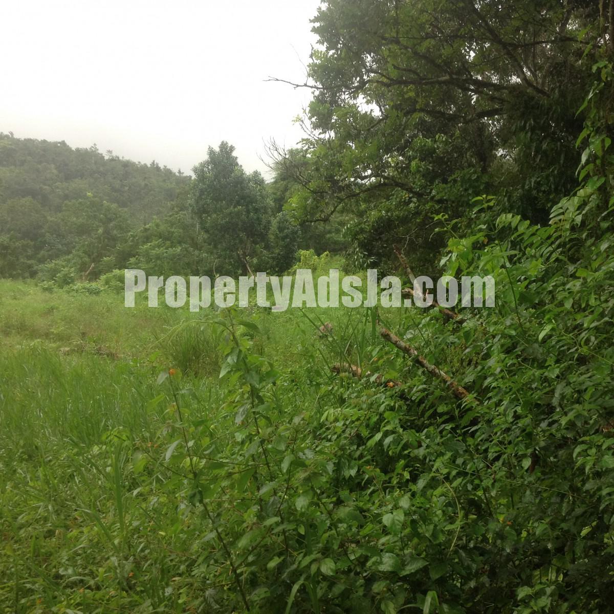 Residential lot For Sale in Claremont, St. Ann Jamaica