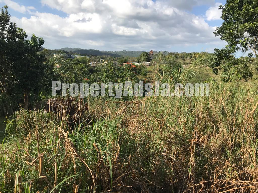 Residential lot For Sale in Darliston, Westmoreland Jamaica