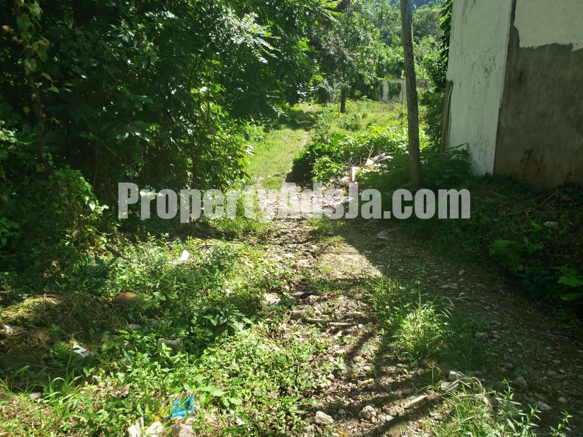 Land For Sale in Frankfield, Clarendon Jamaica