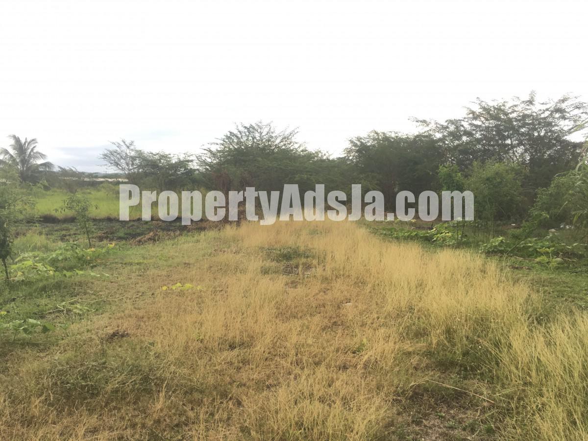 Commercial/farm land For Sale in Clarendon, Clarendon Jamaica