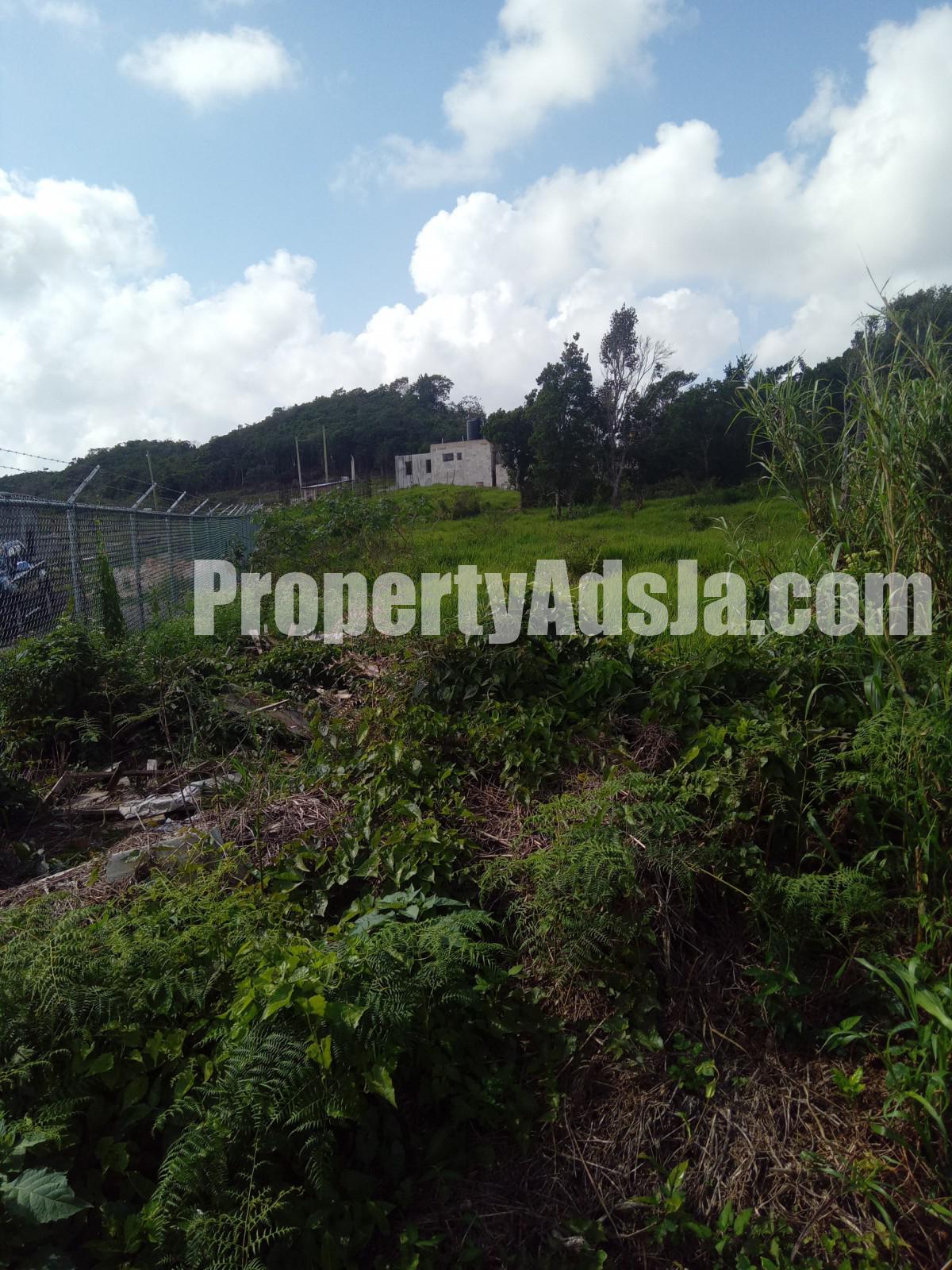 Residential lot For Sale in KnockPatrick, Manchester Jamaica