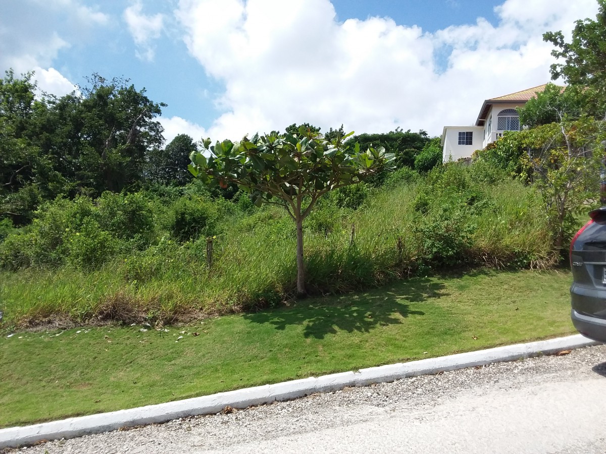 Residential lot For Sale in Ingleside Mandeville, Manchester Jamaica