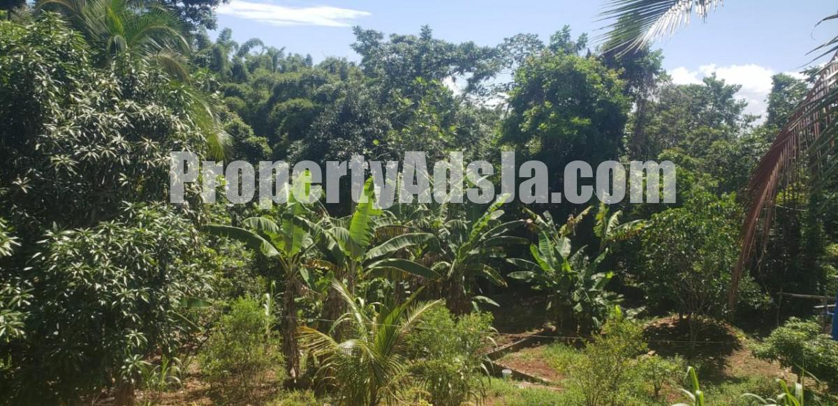 House For Sale in Guys Hill, St. Catherine Jamaica