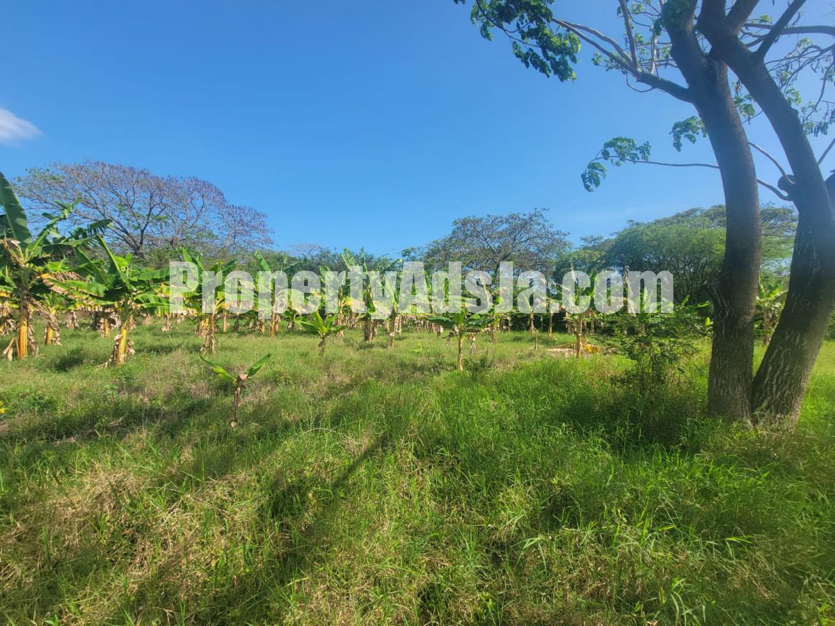 Commercial/farm land For Sale in Old Harbour, St. Catherine Jamaica