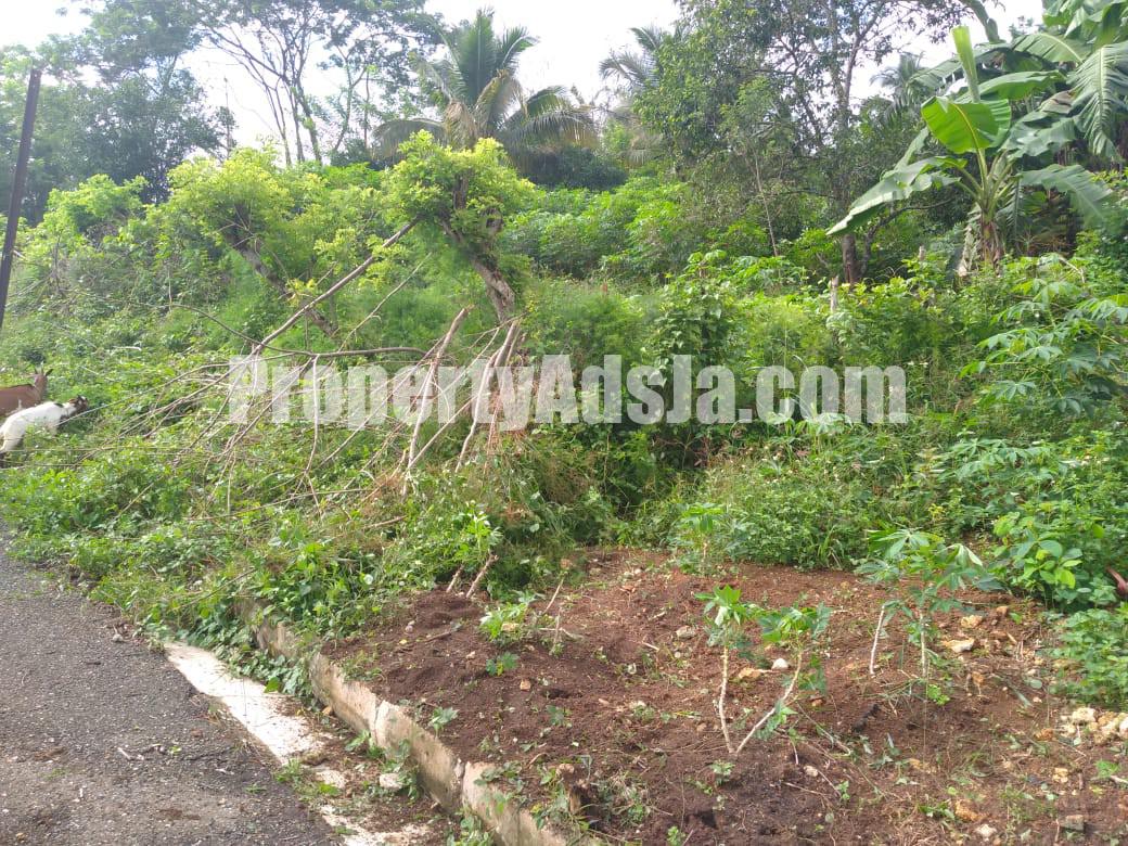 Residential lot For Sale in Ewarton, St. Catherine Jamaica