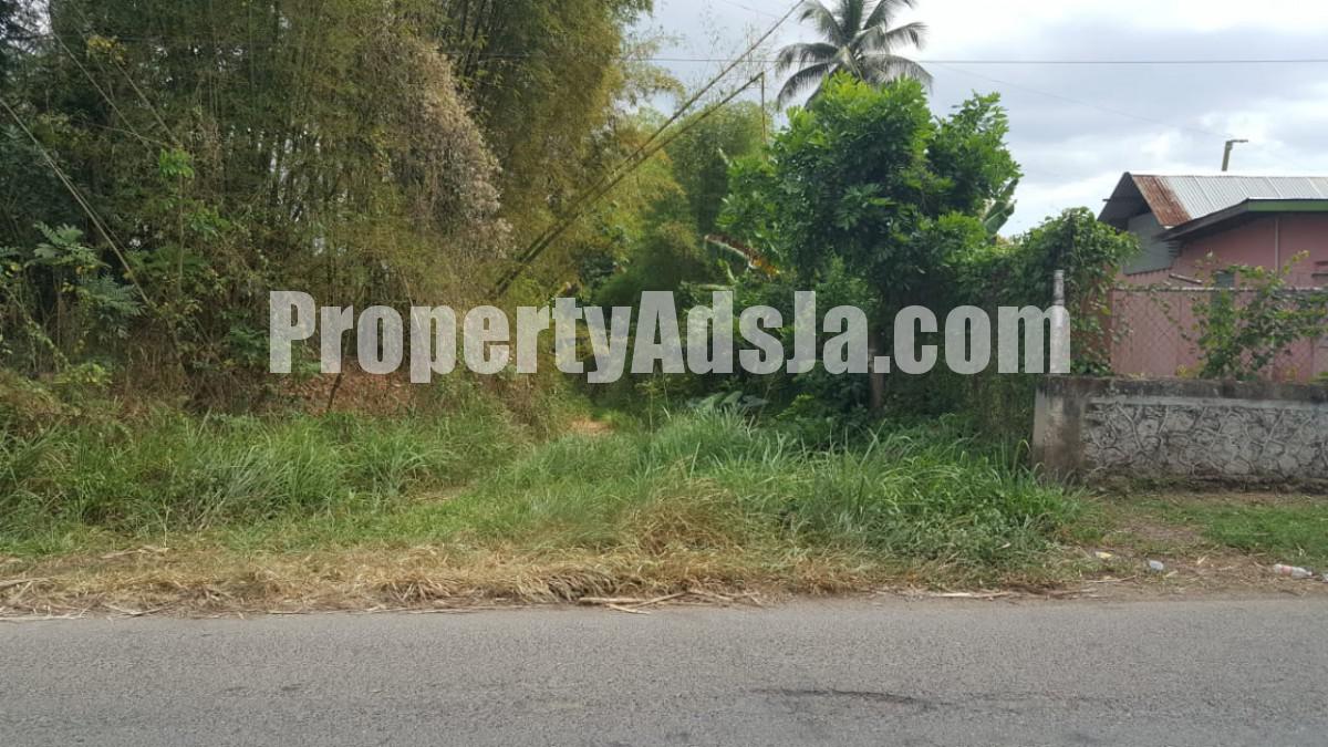 Commercial/farm land For Sale in Linstead, St. Catherine Jamaica