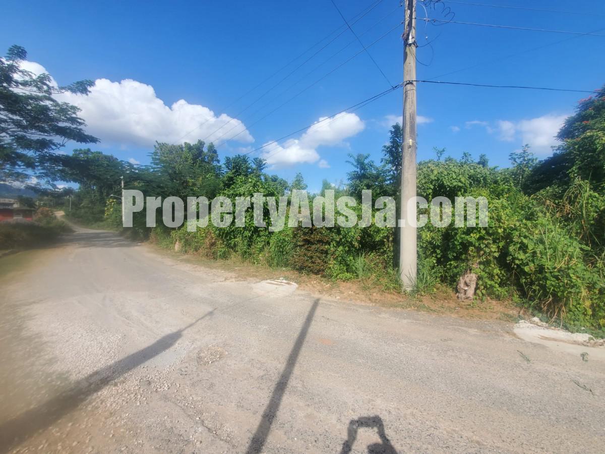 Commercial/farm land For Sale in Orangefield Ewarton, St. Catherine