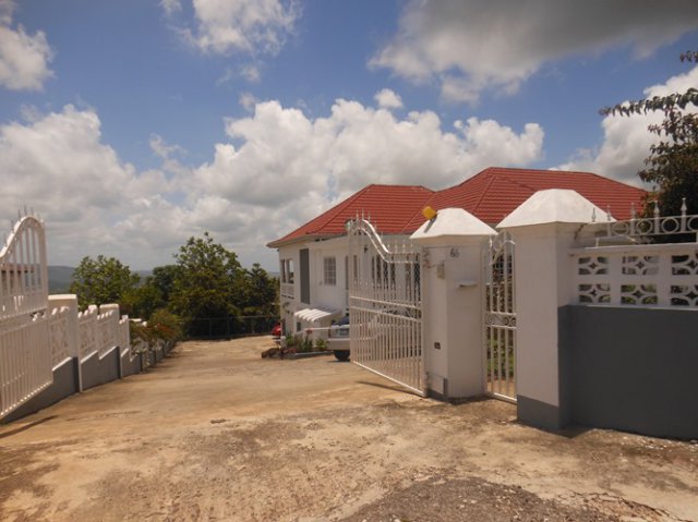 Mandeville Jamaica Google Search