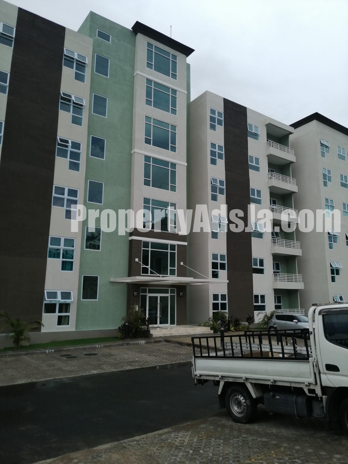 Apartment For Rent in Kingston 6, Kingston / St. Andrew Jamaica