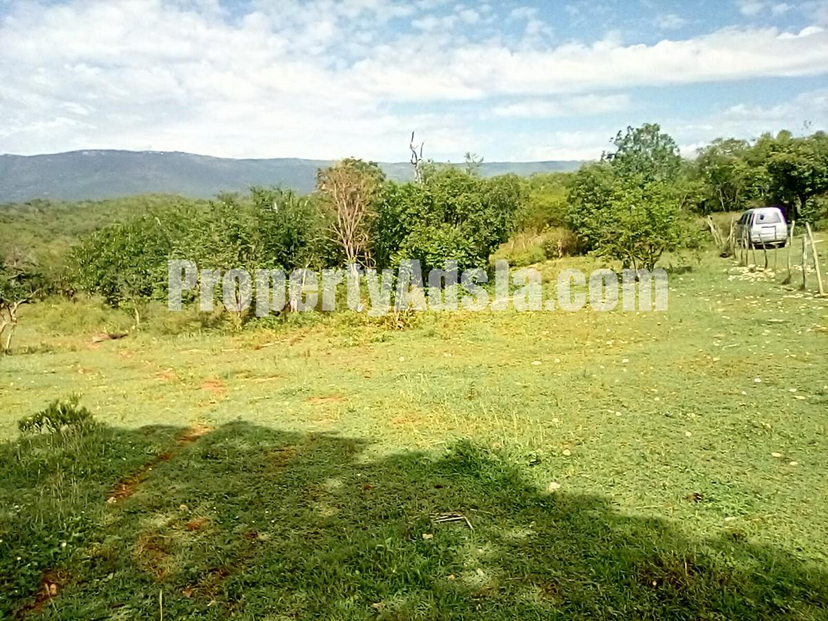 Land For Sale in Watchwell, St. Elizabeth Jamaica